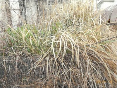 奈良県大和郡山市 郡山駅15分 戸建て 1,320万円の競売物件情報 #3