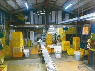 和歌山県有田郡有田川町 藤並駅 戸建て 581万円の競売物件情報 #28