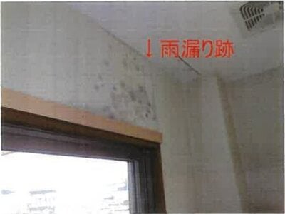 和歌山県海南市 大池遊園駅 戸建て 956万円の競売物件情報 #19