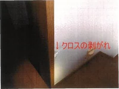 和歌山県和歌山市 紀三井寺駅28分 戸建て 392万円の競売物件情報 #10