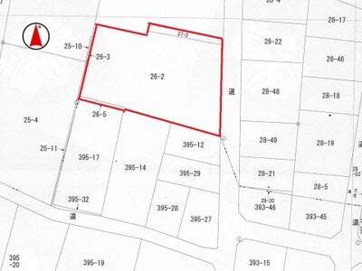 徳島県吉野川市 山瀬駅8分 土地 420万円の国税庁公売物件情報 #4