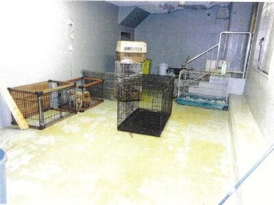 愛知県犬山市 羽黒駅 戸建て 640万円の競売物件情報 #4
