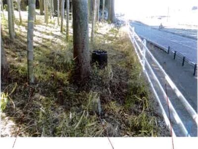 愛知県新城市 東上駅16分 戸建て 830万円の競売物件情報 #6