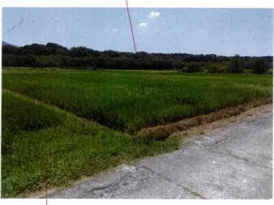(値下げ) 愛知県豊橋市 豊川駅 農地 68万円の競売物件情報 #1