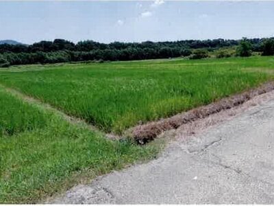 (値下げ) 愛知県豊橋市 豊川駅 農地 68万円の競売物件情報 #4