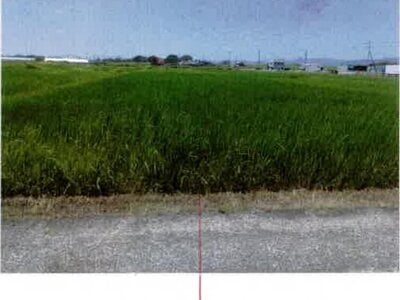 (値下げ) 愛知県豊橋市 豊川駅 農地 68万円の競売物件情報 #1