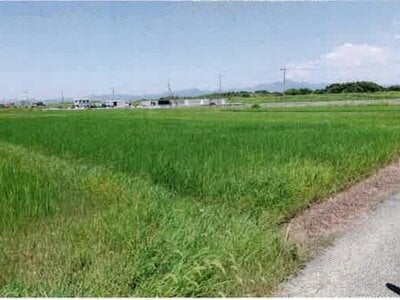 (値下げ) 愛知県豊橋市 豊川駅 農地 68万円の競売物件情報 #4