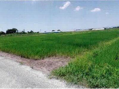 (値下げ) 愛知県豊橋市 豊川駅 農地 68万円の競売物件情報 #5