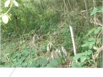 福島県いわき市 戸建て 108万円の競売物件情報 #5