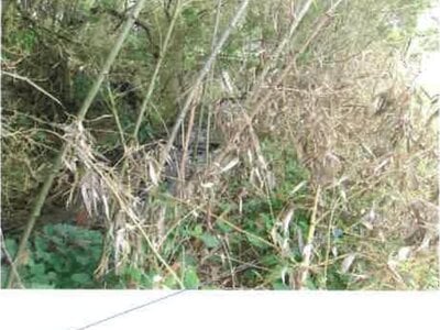 福島県いわき市 戸建て 108万円の競売物件情報 #6