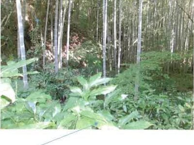 (値下げ) 福島県いわき市 湯本駅27分 戸建て 1,668万円の競売物件情報 #34