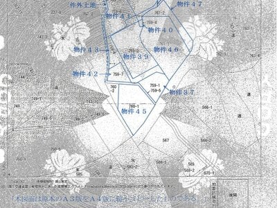 群馬県利根郡みなかみ町 後閑駅14分 戸建て 1,045万円の競売物件情報 #37