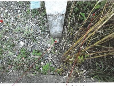 岐阜県揖斐郡揖斐川町 揖斐駅10分 土地 231万円の競売物件情報 #2