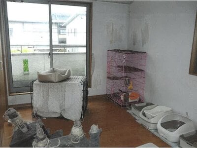 岐阜県大垣市 大外羽駅22分 戸建て 869万円の競売物件情報 #7