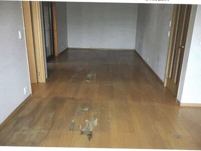 岐阜県羽島市 新羽島駅9分 戸建て 775万円の競売物件情報 #12