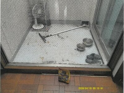 大阪府守口市 守口駅12分 戸建て 1,476万円の競売物件情報 #19