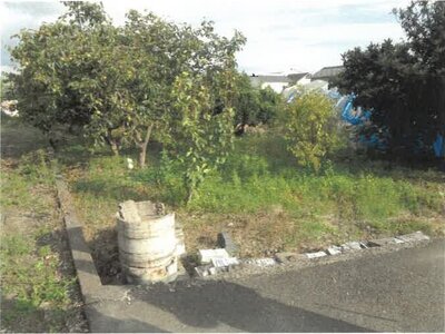 (値下げ) 徳島県板野郡上板町 牛島駅 農地 48万円の競売物件情報 #1