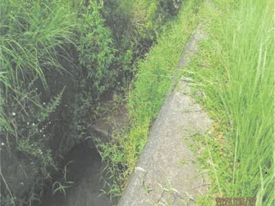 (値下げ) 徳島県阿南市 新野駅20分 農地 82万円の競売物件情報 #3