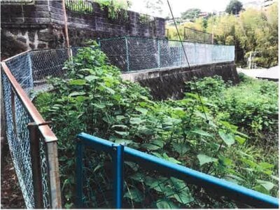 (値下げ) 神奈川県足柄下郡湯河原町 真鶴駅7分 農地 75万円の競売物件情報 #1