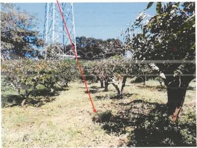 (値下げ) 神奈川県伊勢原市 伊勢原駅16分 戸建て 765万円の競売物件情報 #14