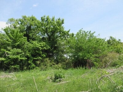 埼玉県東松山市 東松山駅17分 農地 106万円の国税庁公売物件情報 #1