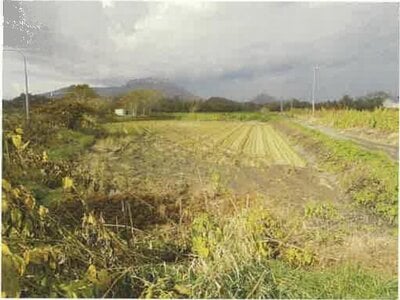(値下げ) 北海道伊達市 長和駅 農地 99万円の競売物件情報 #1