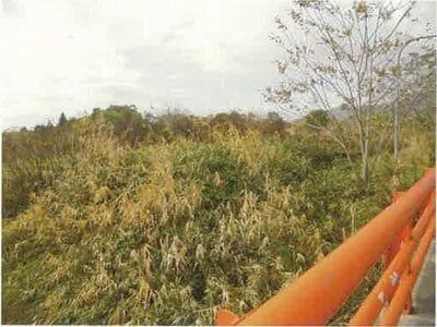 (値下げ) 北海道伊達市 長和駅 農地 99万円の競売物件情報 #2