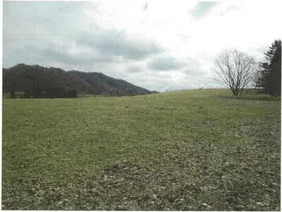 北海道浦河郡浦河町 農地 326万円の競売物件情報 #3