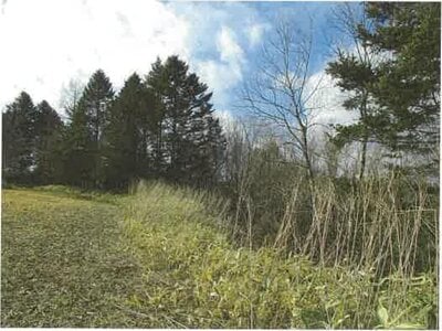 北海道浦河郡浦河町 農地 326万円の競売物件情報 #5