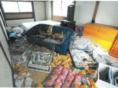 (値下げ) 岡山県岡山市中区 東山・おかでんミュージアム駅7分 戸建て 185万円の競売物件情報 #9