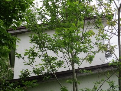 北海道小樽市 小樽駅 戸建て 173万円の官公庁公売物件情報 #13
