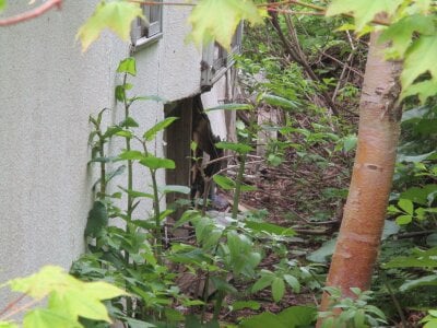 北海道小樽市 小樽駅 戸建て 173万円の官公庁公売物件情報 #6