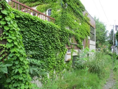 北海道小樽市 小樽駅13分 戸建て 631万円の官公庁公売物件情報 #7