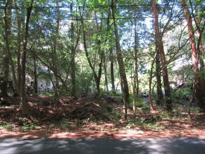 (値下げ) 山梨県南都留郡鳴沢村 河口湖駅 土地 31万円の官公庁公売物件情報 #1