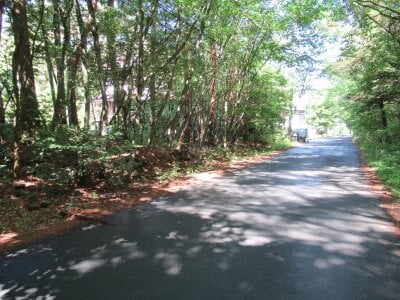 (値下げ) 山梨県南都留郡鳴沢村 河口湖駅 土地 31万円の官公庁公売物件情報 #3