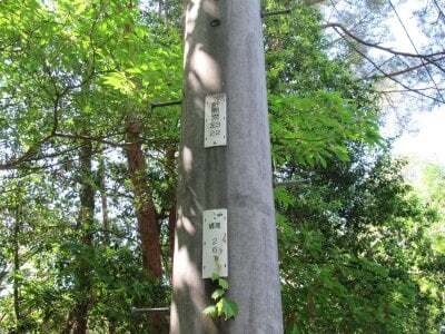 (値下げ) 山梨県南都留郡鳴沢村 河口湖駅 土地 31万円の官公庁公売物件情報 #4