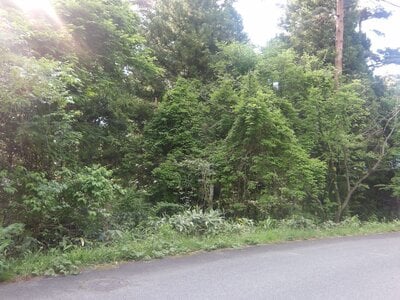 (値下げ) 鳥取県西伯郡伯耆町 伯耆溝口駅 土地 8万円の官公庁公売物件情報 #1