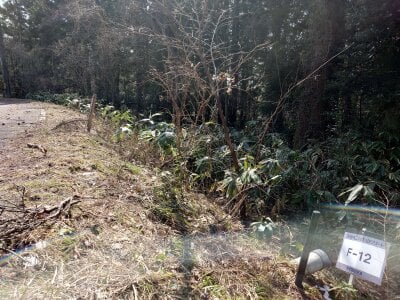 (値下げ) 鳥取県西伯郡伯耆町 伯耆溝口駅 土地 8万円の官公庁公売物件情報 #3