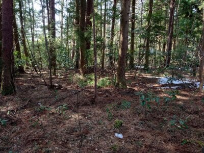 (値下げ) 鳥取県西伯郡伯耆町 伯耆溝口駅 土地 8万円の官公庁公売物件情報 #7