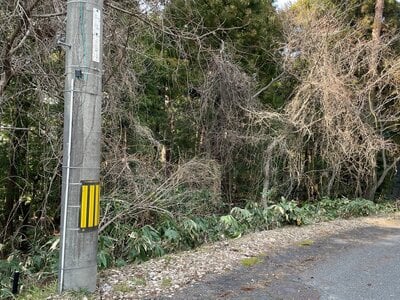 (値下げ) 鳥取県西伯郡伯耆町 伯耆溝口駅 土地 8万円の官公庁公売物件情報 #9