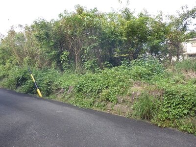 三重県いなべ市 麻生田駅15分 土地 98万円の官公庁公売物件情報 #3