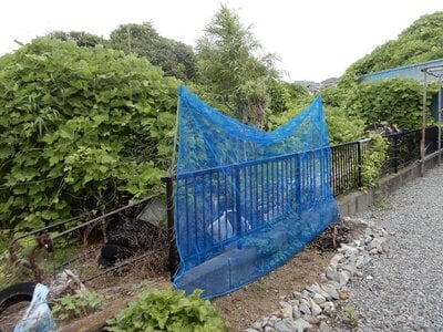静岡県富士宮市 富士宮駅 戸建て 824万円の官公庁公売物件情報 #20