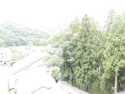 新潟県南魚沼郡湯沢町 マンション「ダイアパレス苗場」11万円の官公庁公売物件情報 #13