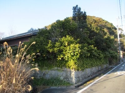高知県土佐清水市 戸建て 230万円の官公庁公売物件情報 #2