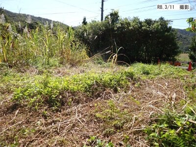 (値下げ) 鹿児島県大島郡龍郷町 土地 118万円の官公庁公売物件情報 #3