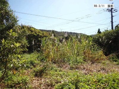 (値下げ) 鹿児島県大島郡龍郷町 土地 118万円の官公庁公売物件情報 #4
