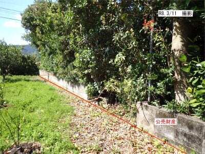 (値下げ) 鹿児島県大島郡龍郷町 土地 118万円の官公庁公売物件情報 #5