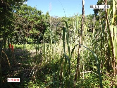 (値下げ) 鹿児島県大島郡龍郷町 土地 118万円の官公庁公売物件情報 #6