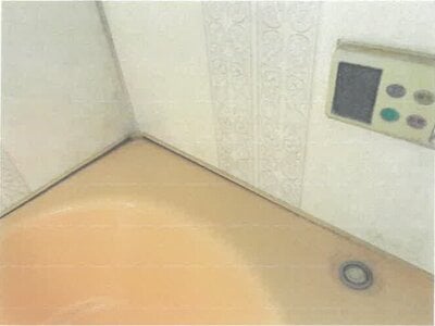 埼玉県本庄市 本庄駅5分 戸建て 784万円の競売物件情報 #11