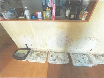 埼玉県児玉郡上里町 丹荘駅 戸建て 368万円の競売物件情報 #9